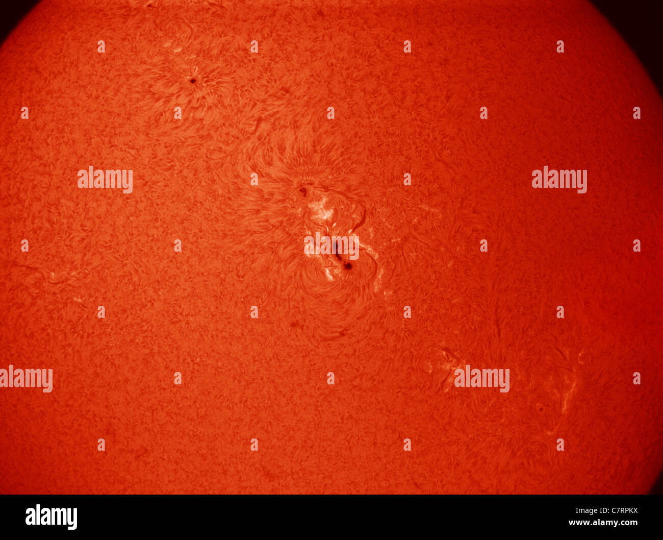 28.9.11. A massive chain of active regions with sunspot group 11302 is currently facing earthwards, seen in this telescope view Stock Photo