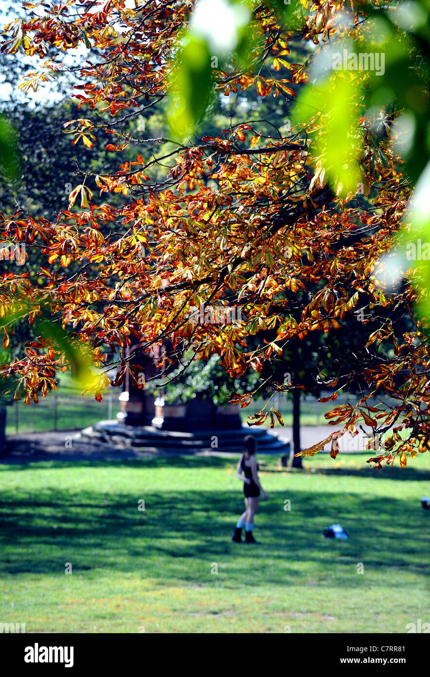 Woman throwing stick for dog hires stock photography and images Alamy