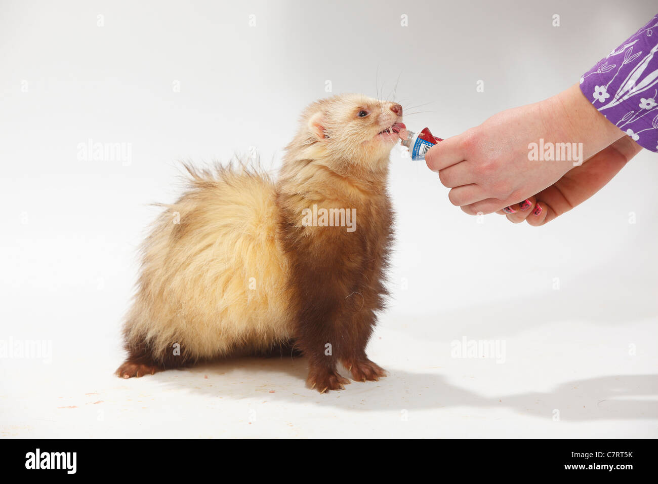 Feeding tube hires stock photography and images Alamy