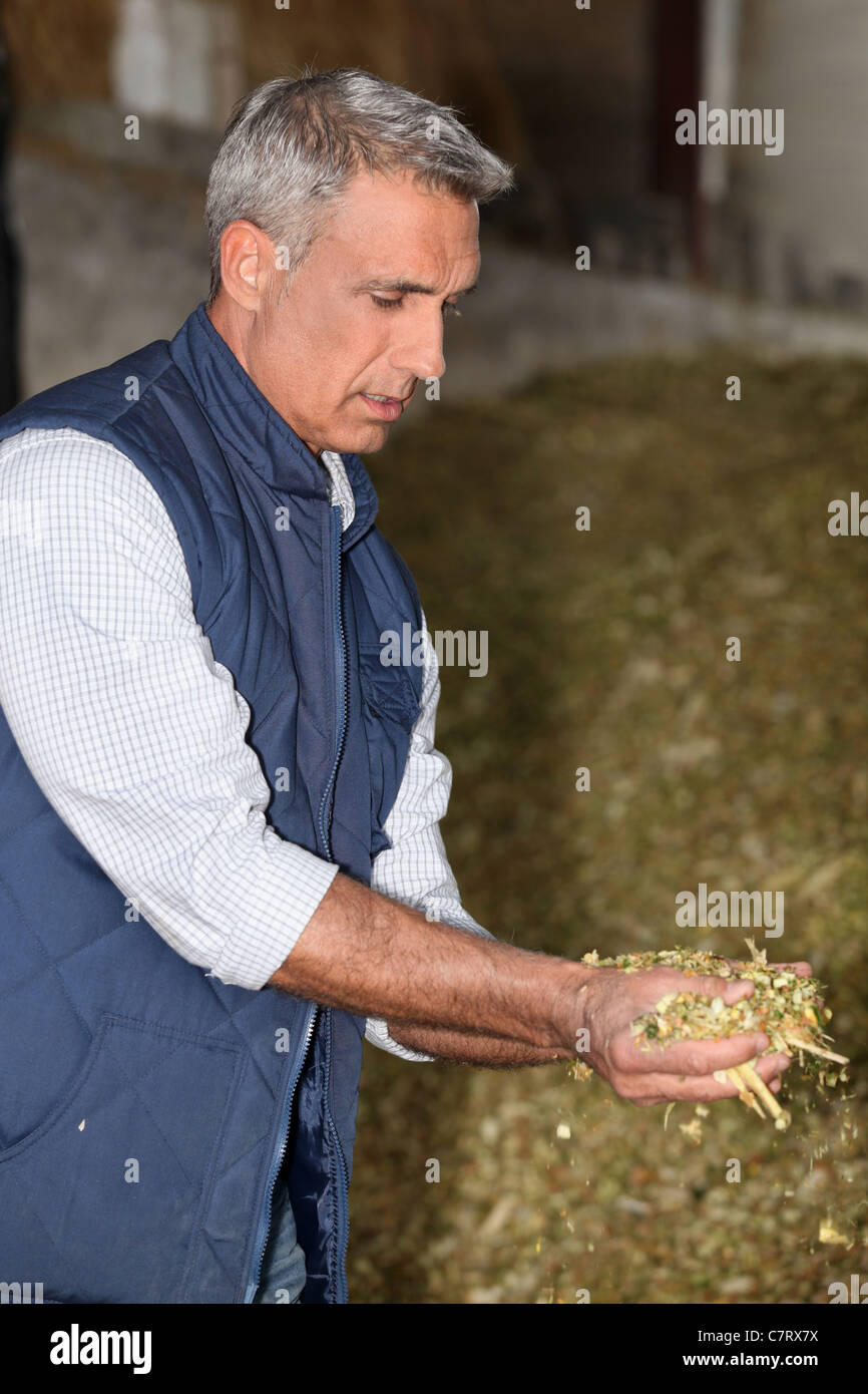 Portrait farmer in profile hi-res stock photography and images - Alamy