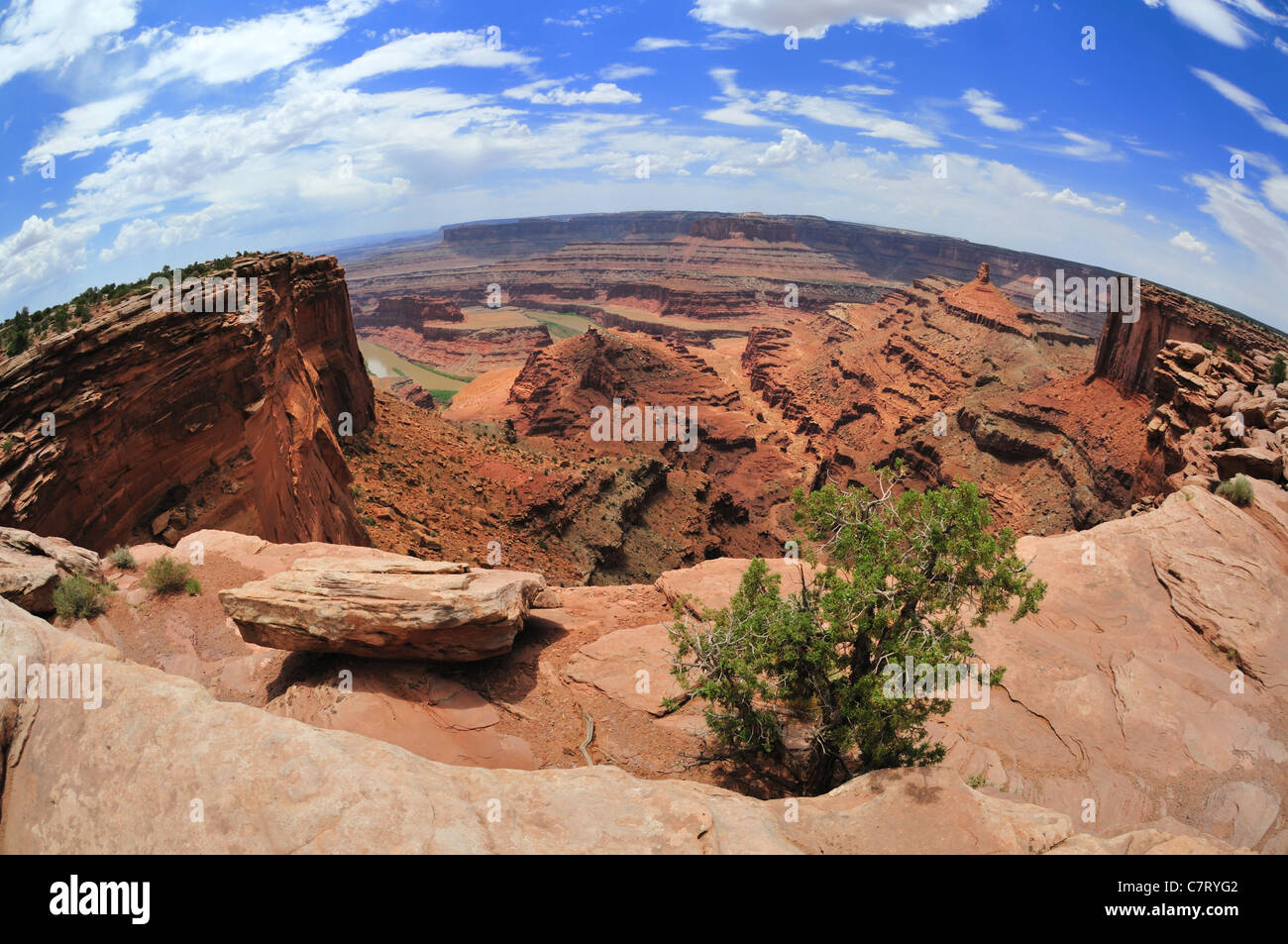 Panoramic fisheye view of eroded cliffs and other formations from an overlook in Dead Horse Point State Park near Moab, Utah Stock Photo