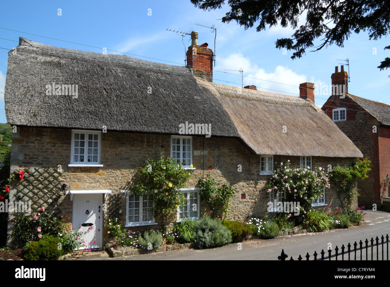 Cottages at Burton Bradstock, Dorset Stock Photo Alamy