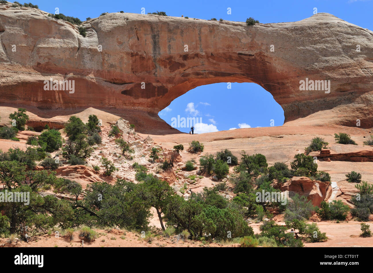 Wilson arch, Monticello, Utah Stock Photo Alamy