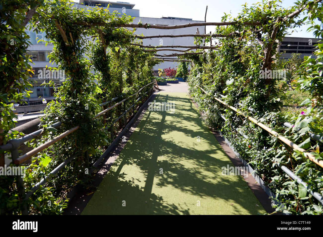 Eden Project created roof garden on top of Queen Elizabeth Hall
