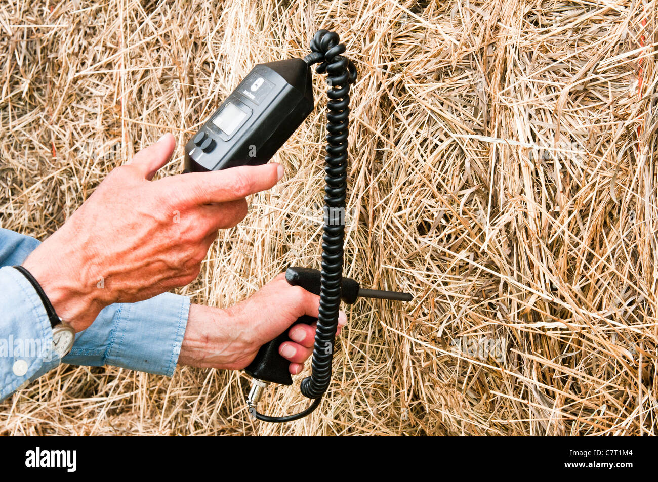 A farmer uses an instrument to test an alfalfa bale for moisture content and temperature. Stock Photo