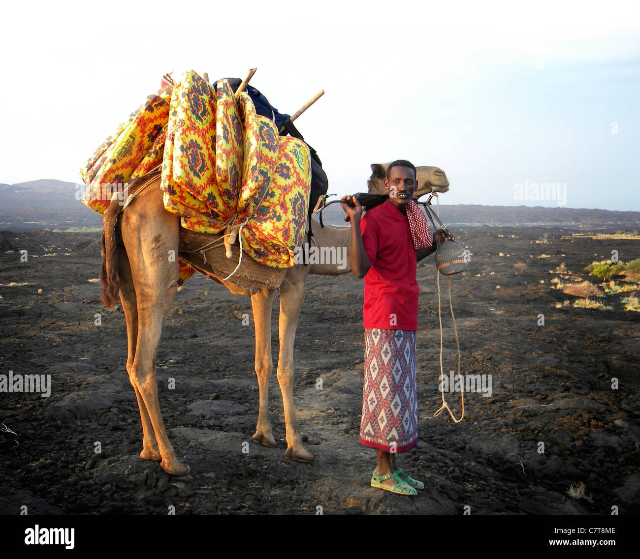 Africa, Ethiopia, Danakil, Afar Nomads caravan Stock Photo