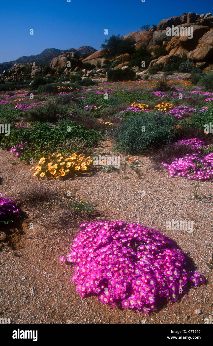 large plastic pot plants Outsunny 28