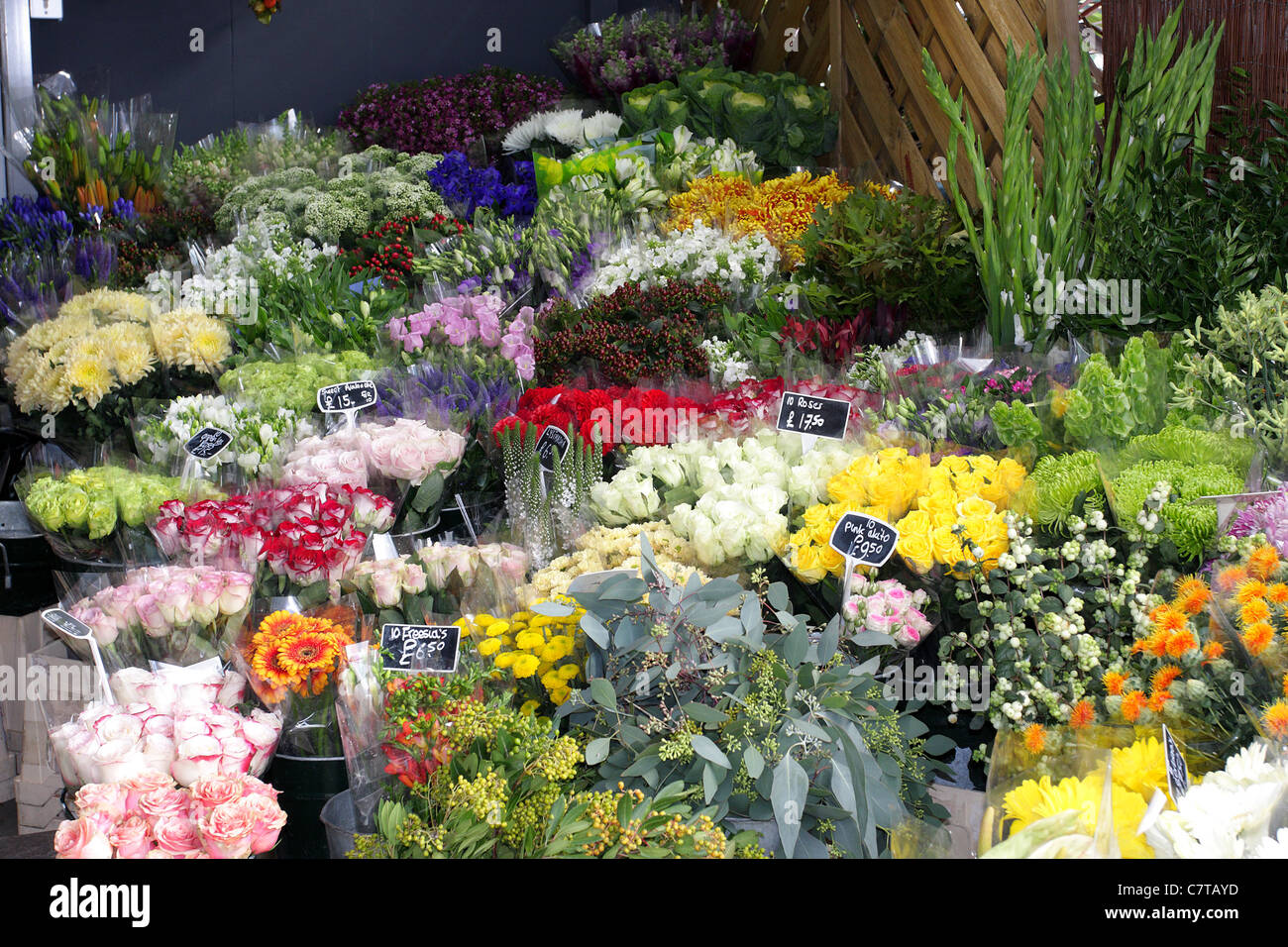 FLOWERS AND BOUQUETS, wonderful colour array of various flowers and