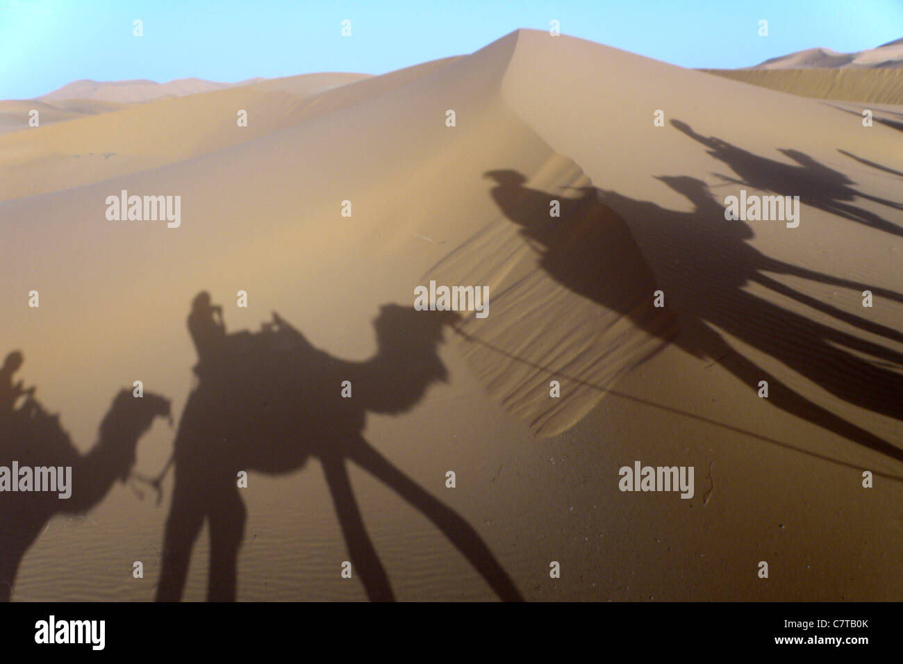 Africa, Morocco, Merzouga sand dunes Stock Photo Alamy