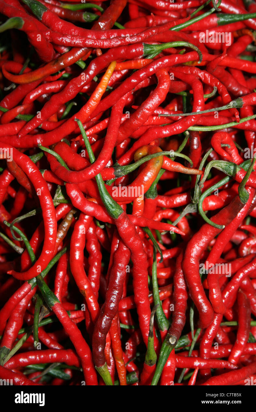 Red Chili Peppers For Sale At An Indonesian Market Stock Photo