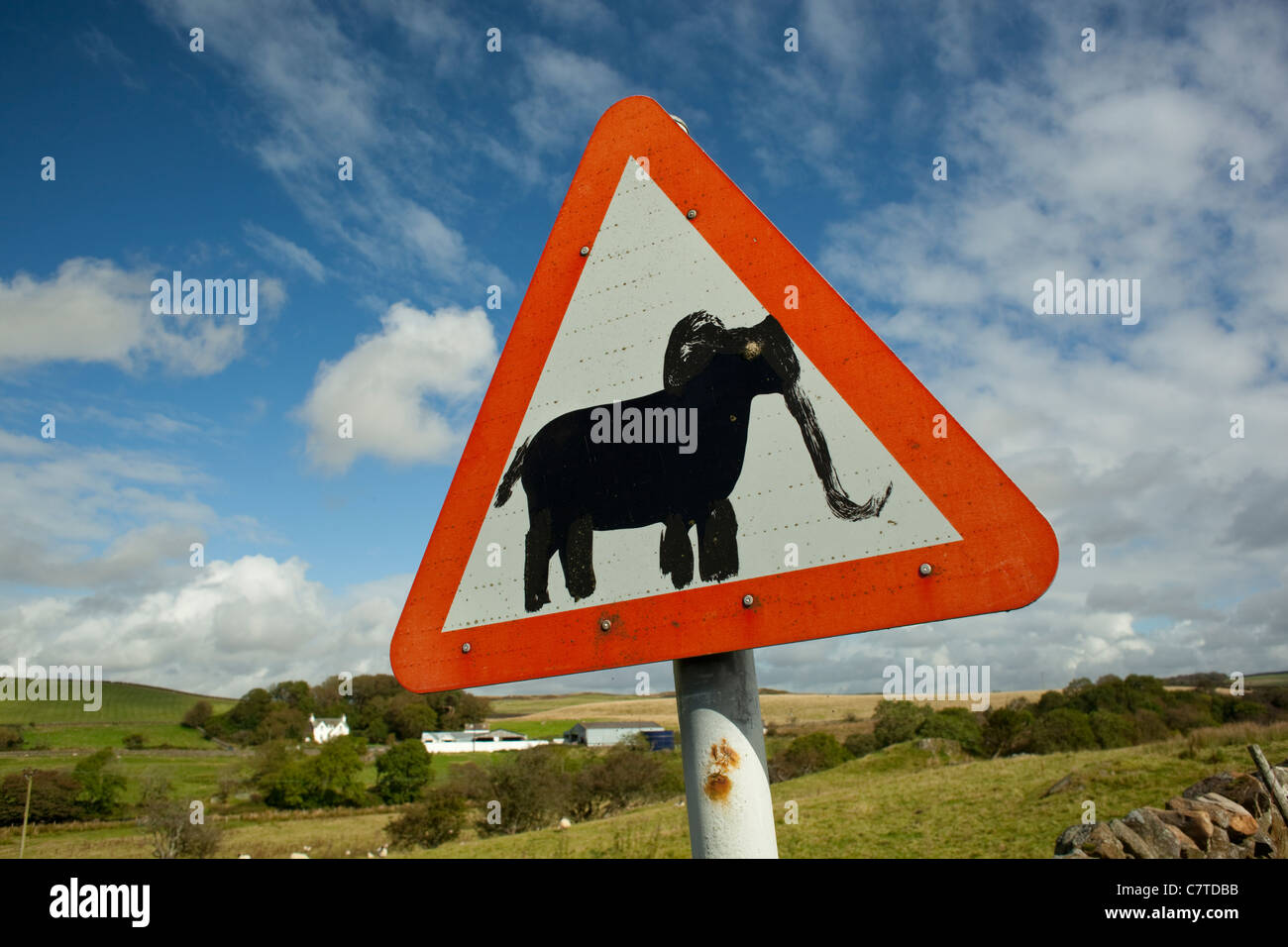Road sign in countryside with creative artwork graffiti elephant painted on it near New Luce Galloway Scotland UK Stock Photo