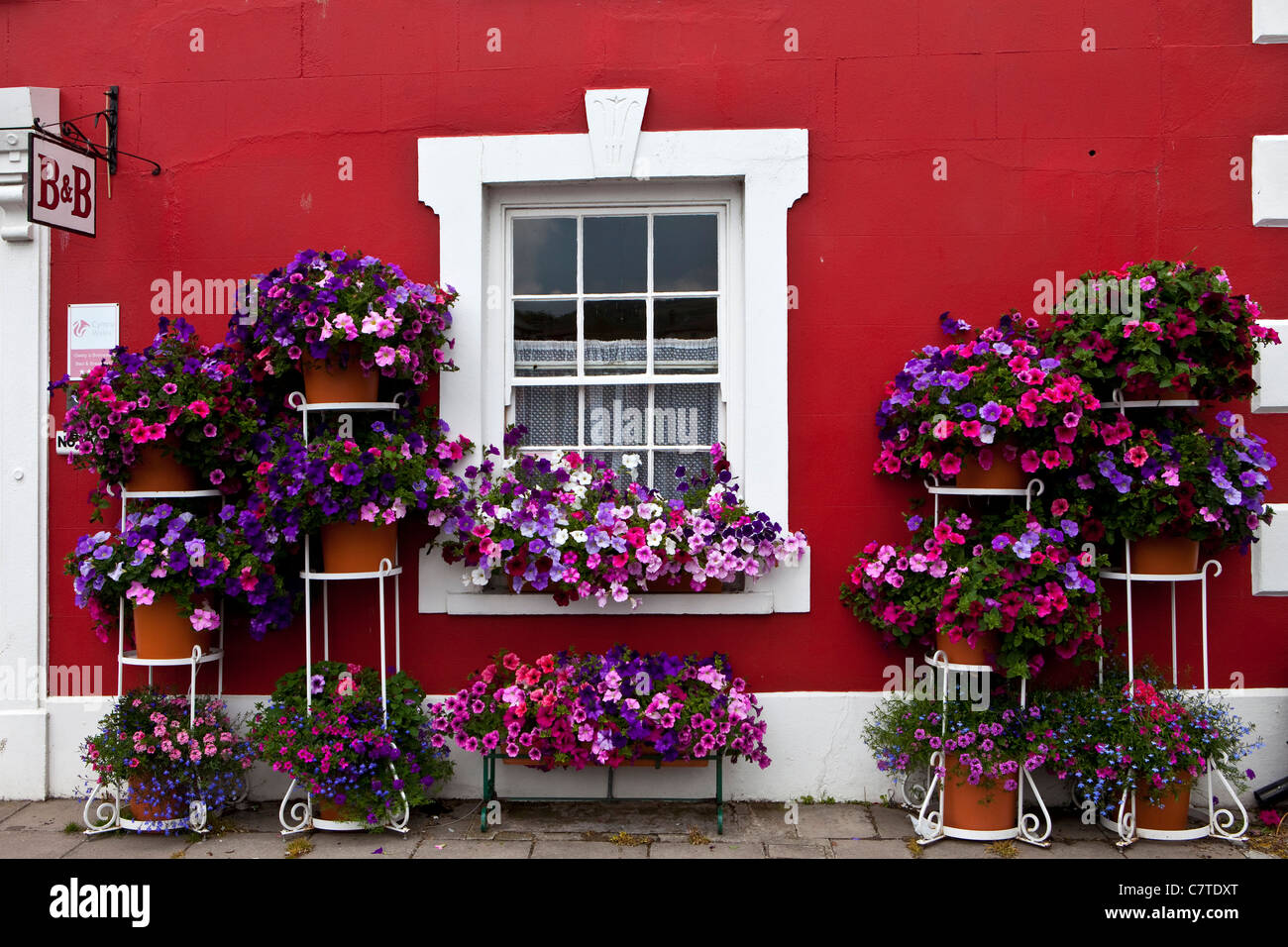Aberaeron Bed and breakfast house exterior flowers West Wales UK