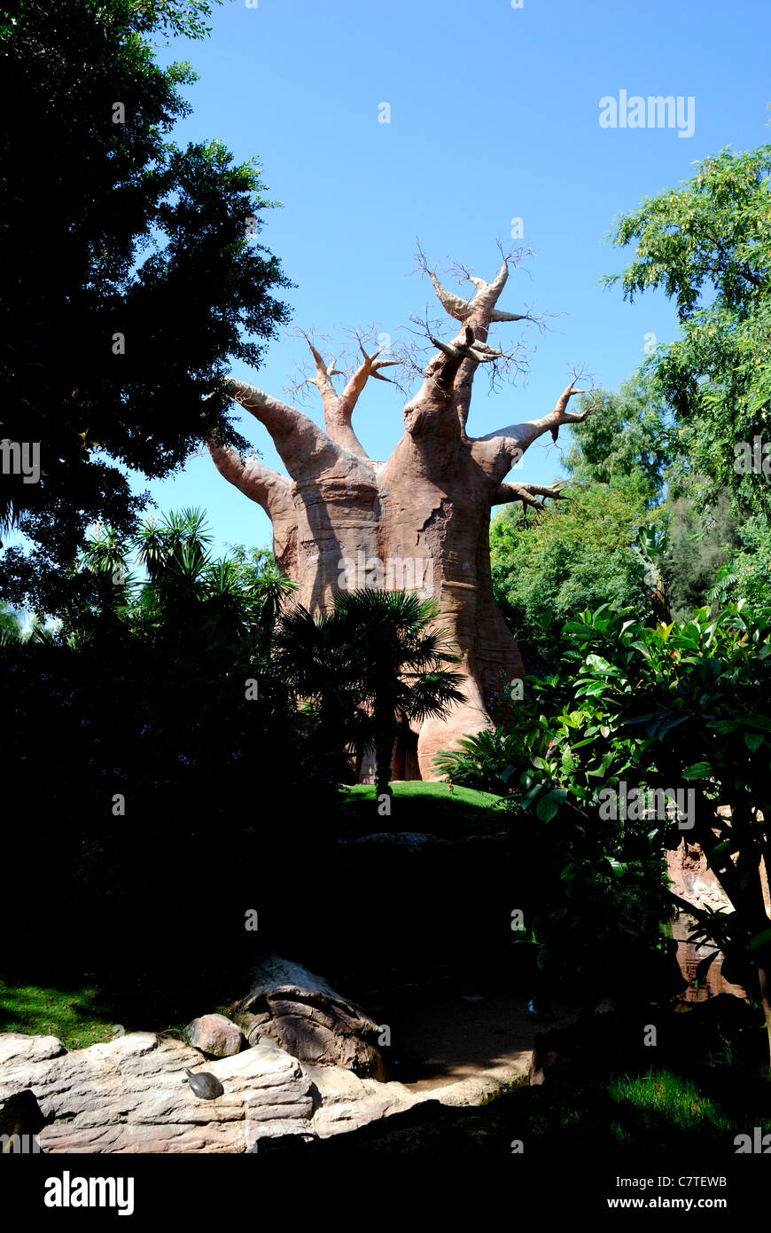 Baobab Tree (Replica), Fuengirola Zoo (Biopark), Fuengirola, Costa del