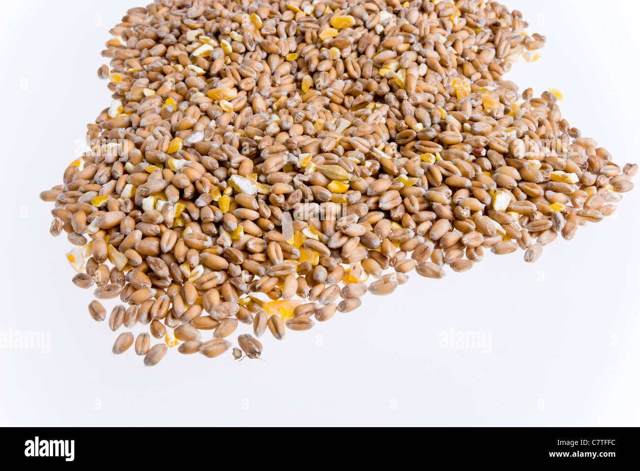 Corn seeds of kernels Stock Photo Alamy