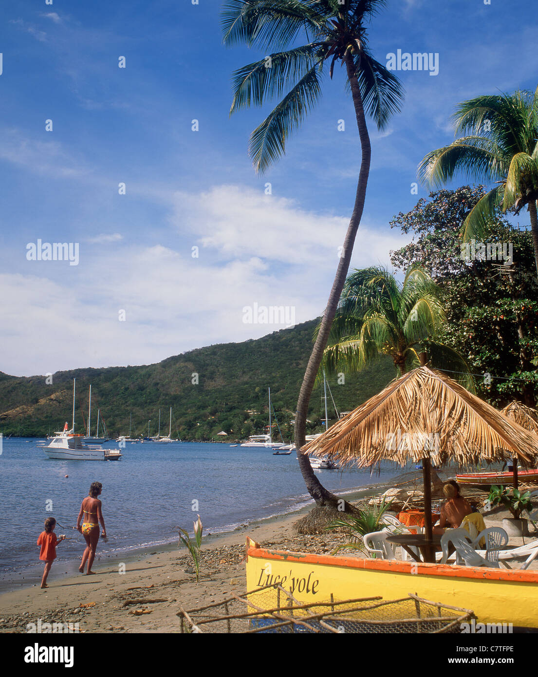 Martinique Grand Anse beach Stock Photo Alamy