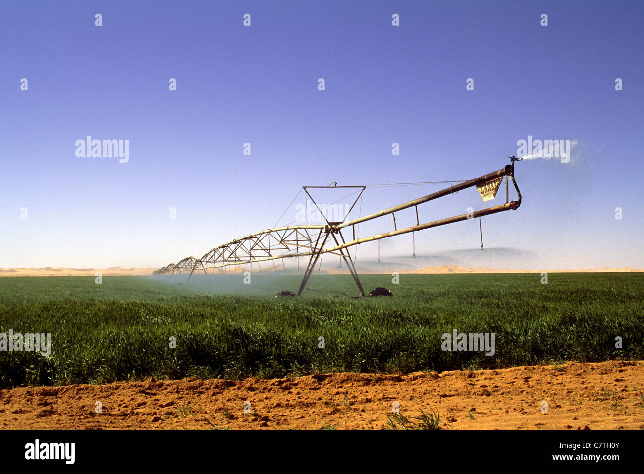 Libya, Sahara desert, irrigation system Stock Photo Alamy