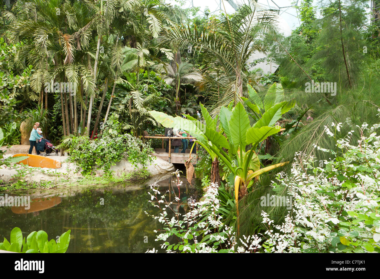 Inside the Tropical Biodome at the Eden Project, Bodelva, St Austell, Cornwall Stock Photo