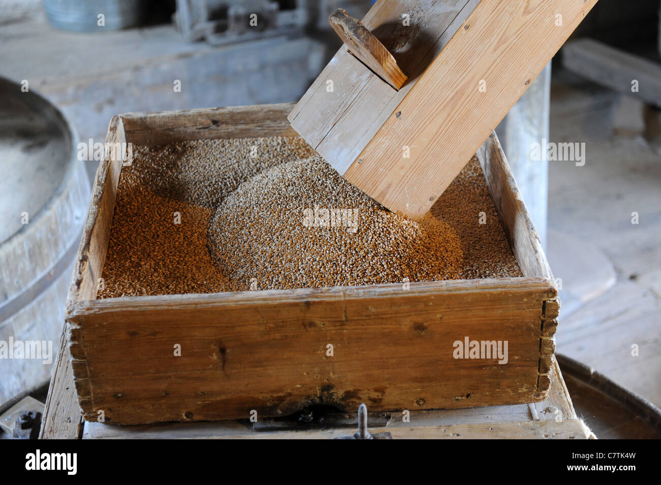 Grain for Flour in production on traditional eighteenth-century water mill uk Stock Photo