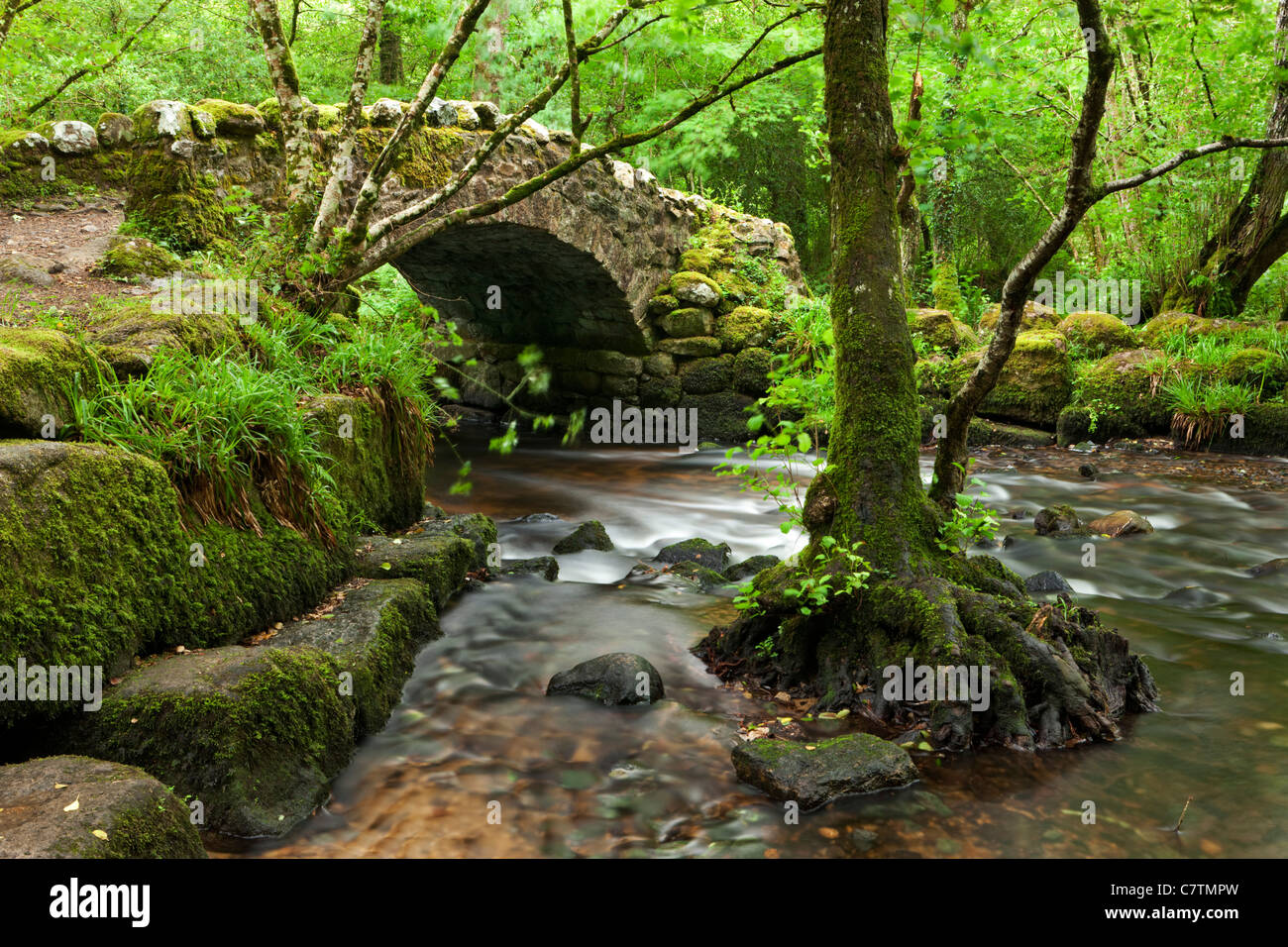 Medieval Hisley Bridge spanning the River Bovey in Hisley Wood, Dartmoor, Devon, England. Summer (July) 2011. Stock Photo