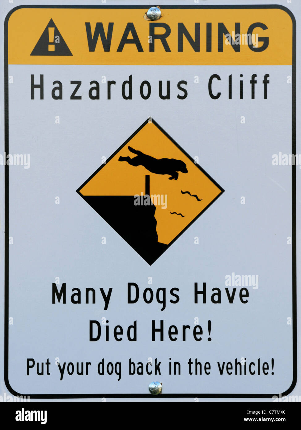 Jumping dog hires stock photography and images Alamy