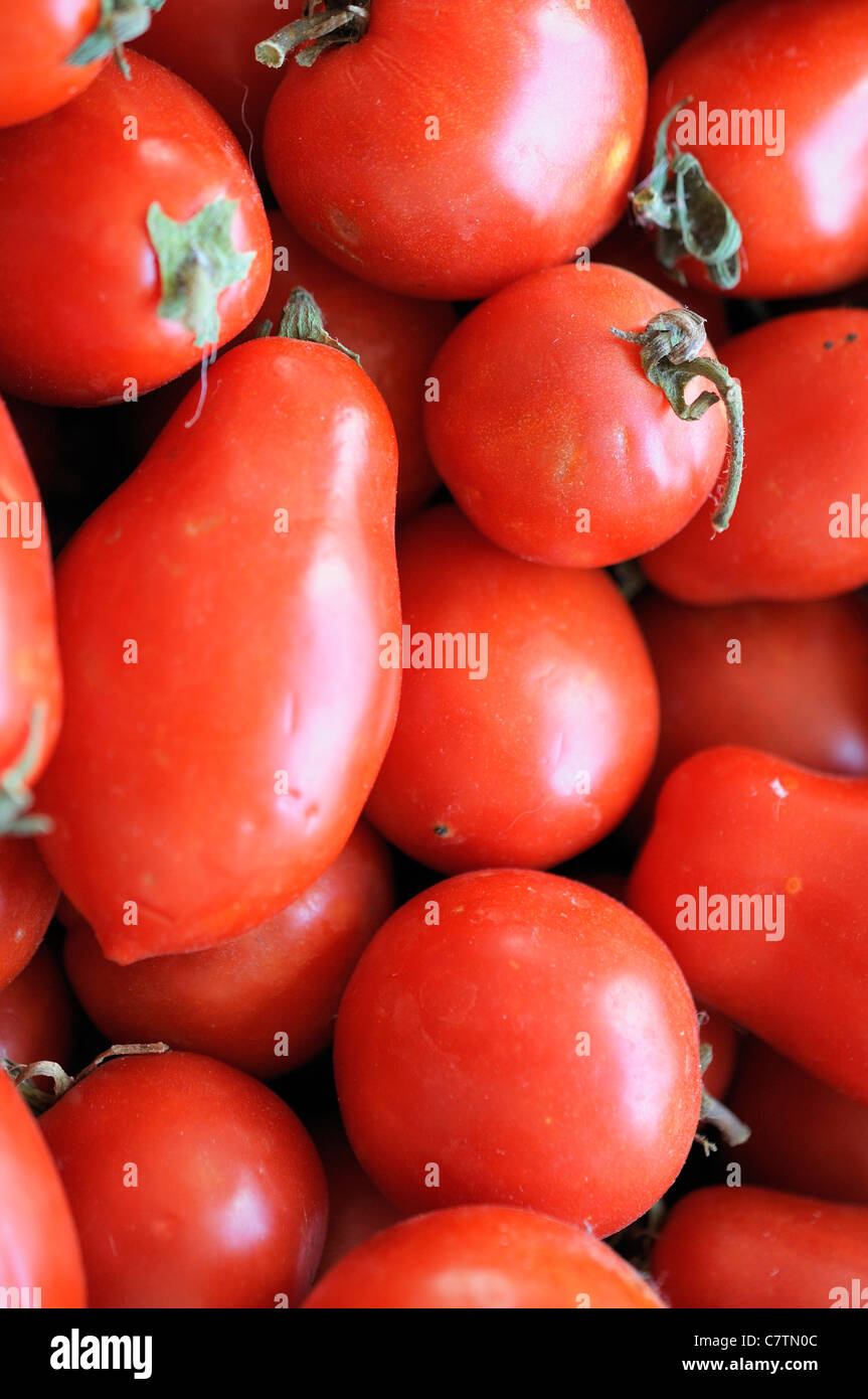 Closeup of ripe tomatoes on a table. Varieties include Roma and Arctic Maxi. Stock Photo