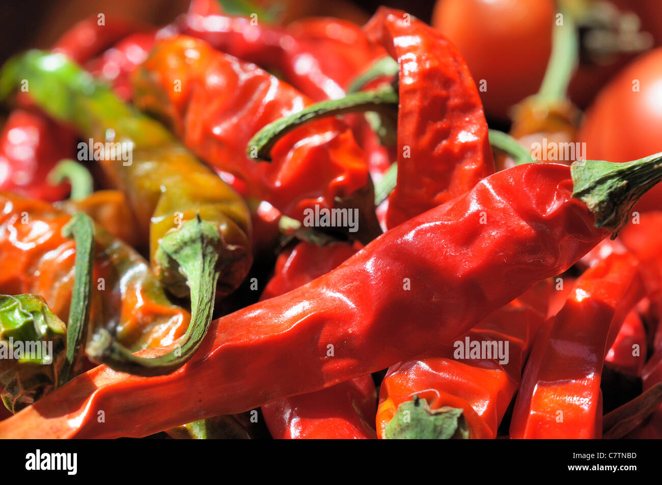 Macro shots of red Chili Peppers. Stock Photo