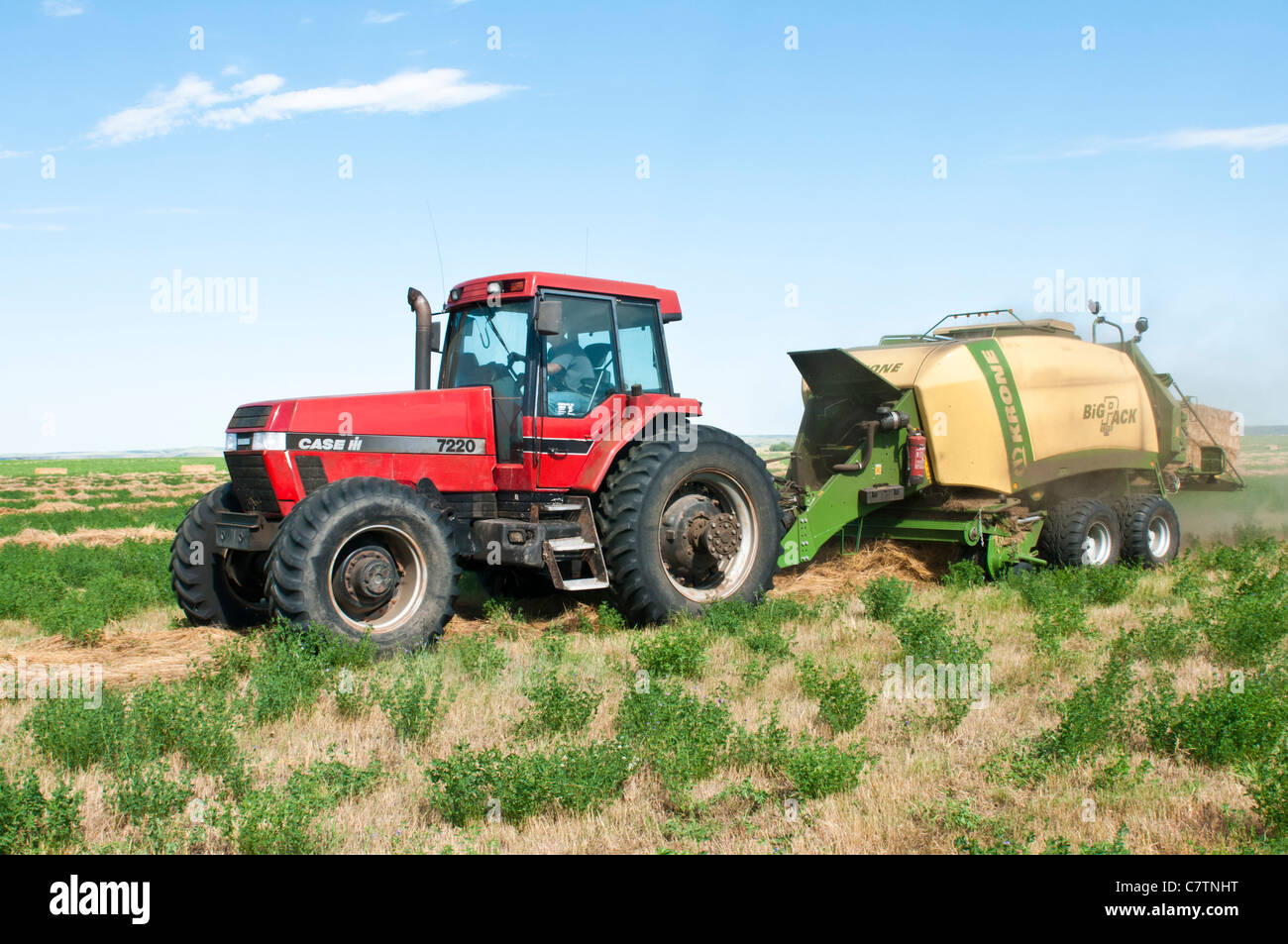 A tractor pulling a baling machine is at work producing square bales in