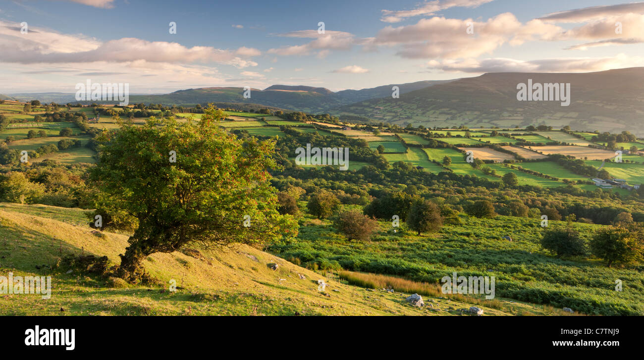 Rolling countryside of the Brecon Beacons near Crickhowell, South Wales. Stock Photo