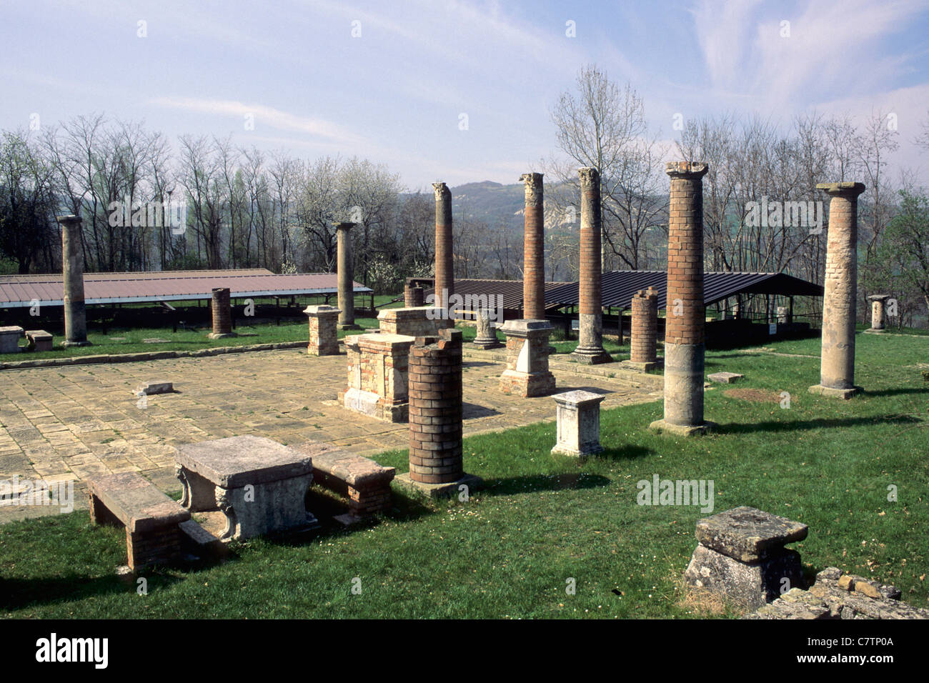 Velleia romana hires stock photography and images Alamy