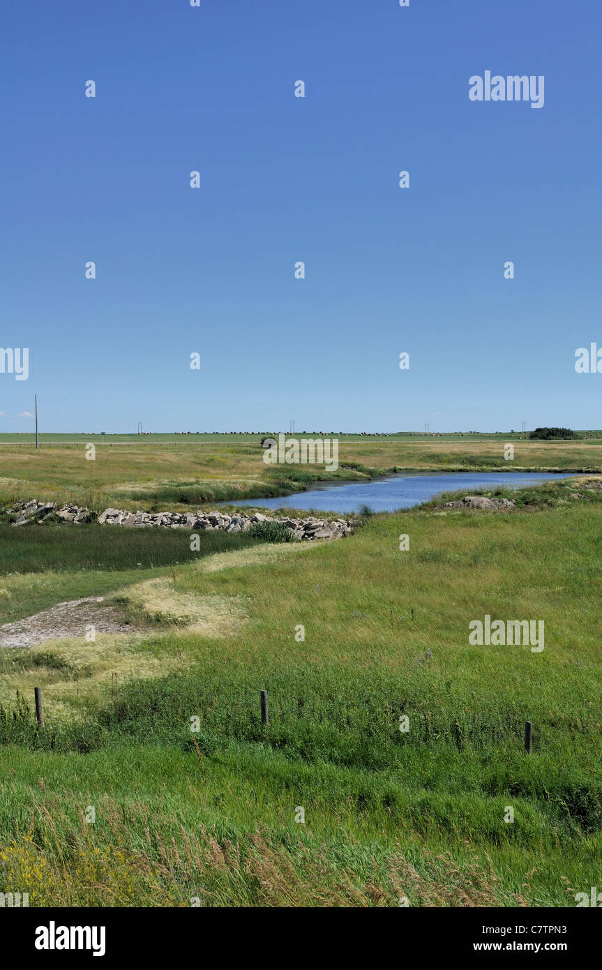 Landscape of the Canadian prairies of North America, Saskatchewan Canada. Stock Photo
