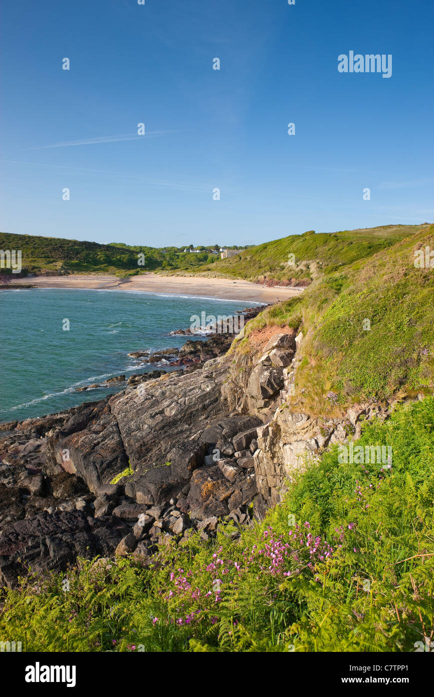 Manorbier Castle Manorbier Pembroke Pembrokeshire Wales Stock Photo Alamy