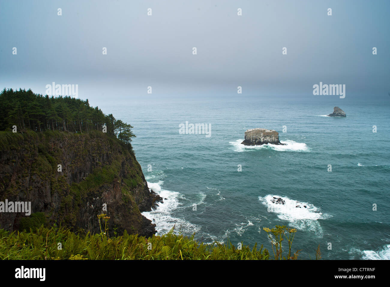 Cape lookout state park campground hi res stock photography and images
