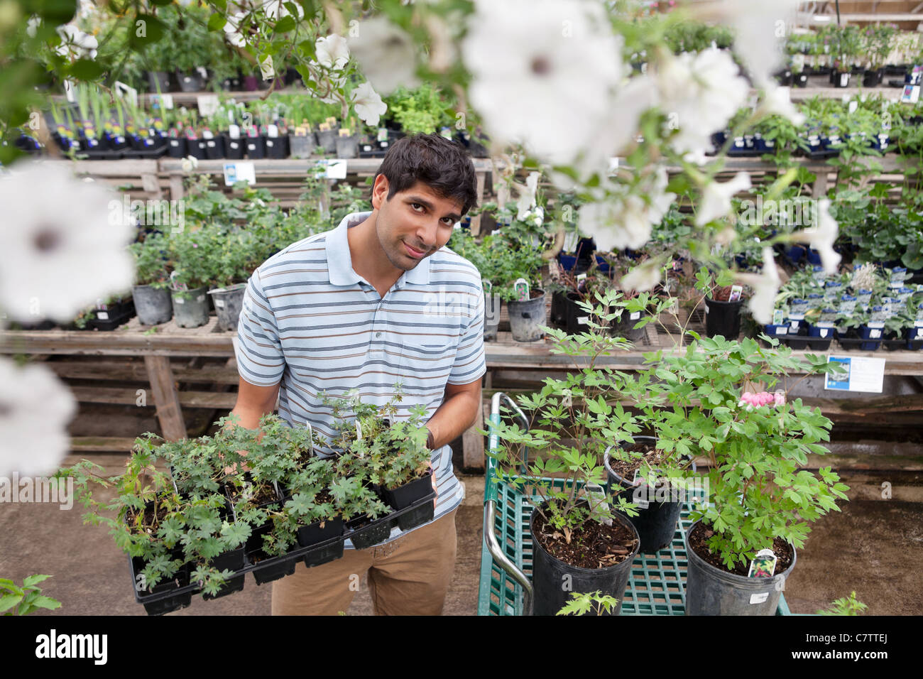 Portrait of young man buying potted plants from garden centre Stock