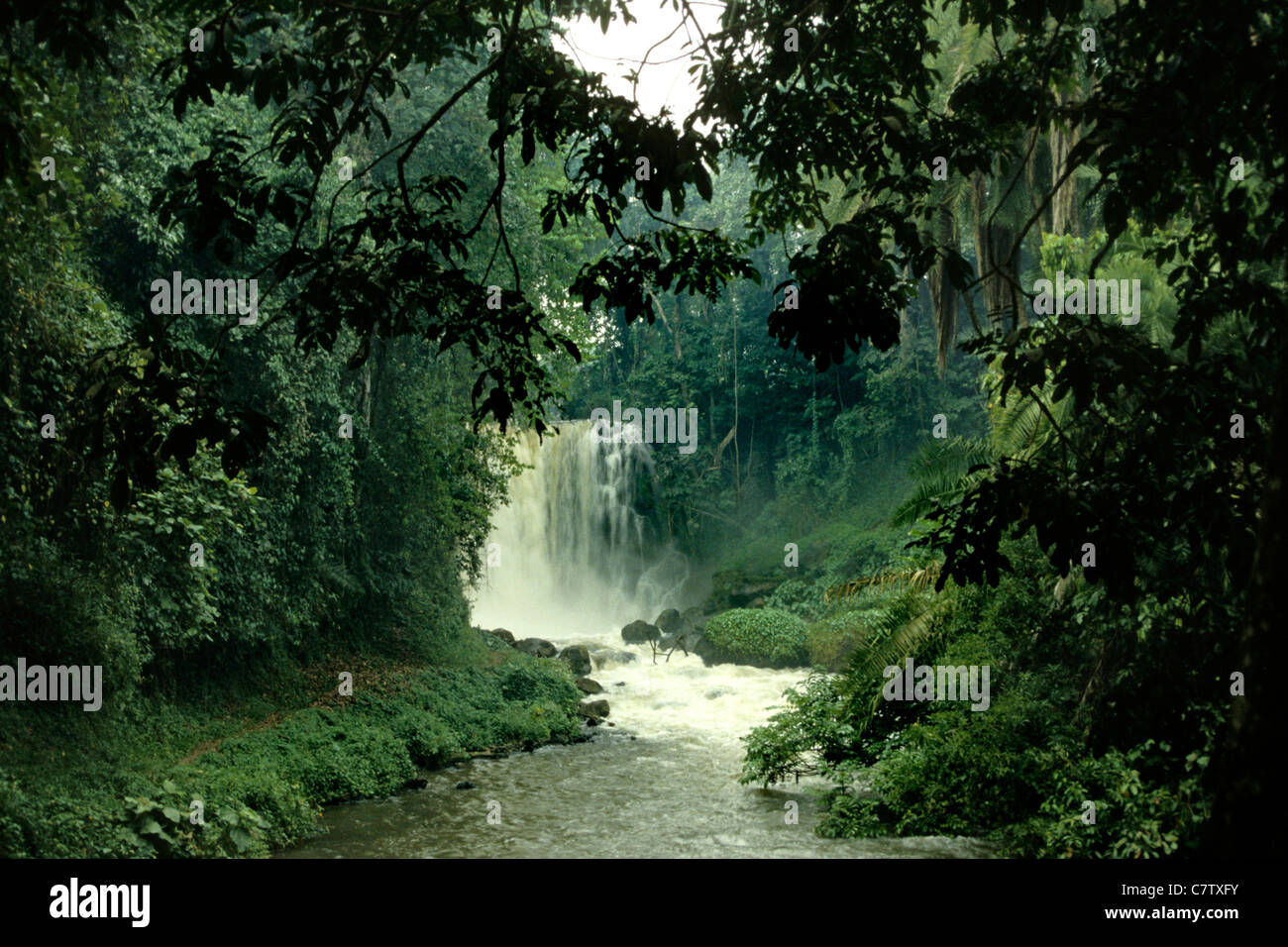 Africa Zaire River Stock Photo Alamy   Africa Zaire River C7TXFY 