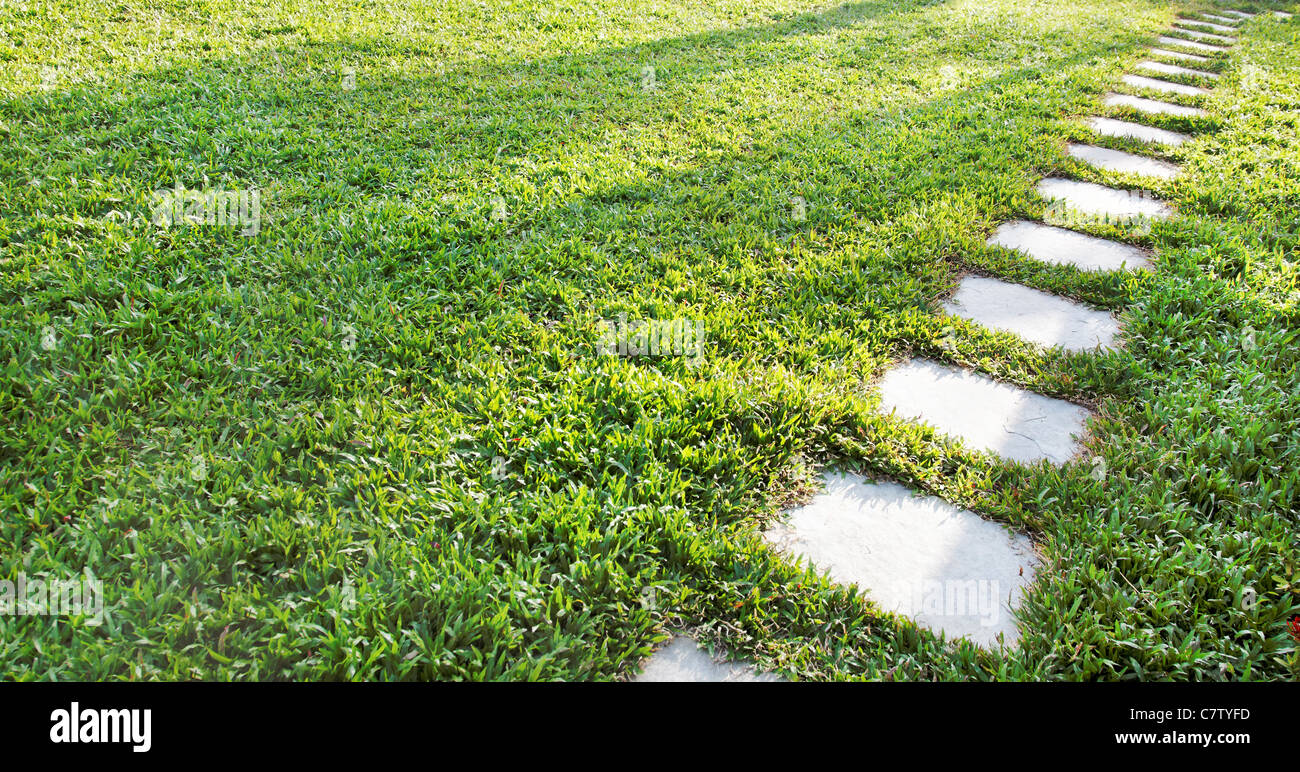 diagonal stepping stones paving flags across a lush green lawn, horizontal landscape with crop