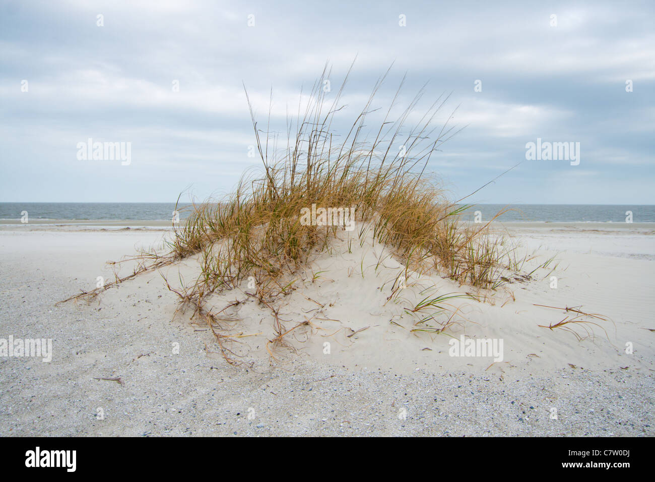 sand dune on the beach Stock Photo - Alamy