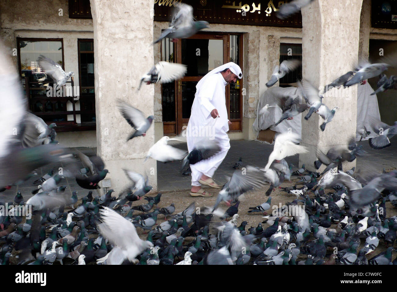 Qatar, Doha. Man feeding pigeons Stock Photo