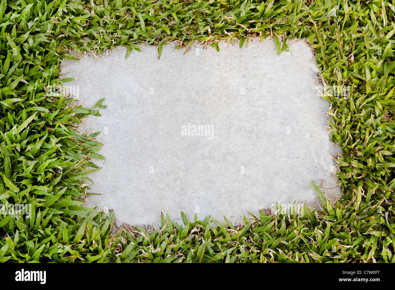 angled flagstone stepping stone embedded in a natural non grass lawn, copy space on plaque, crop space and horizontal landscape Stock Photo