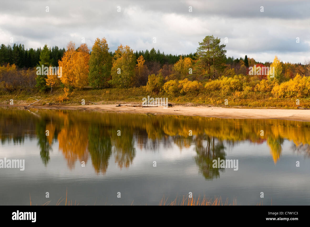 Taiga boreal forest in komi hi-res stock photography and images - Alamy