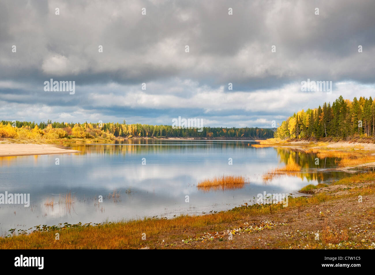 Taiga boreal forest in komi hi-res stock photography and images - Alamy