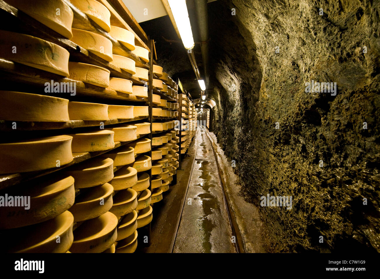 Ageing room where hard cheeses are stored to mature - Stock Image -  F023/1665 - Science Photo Library