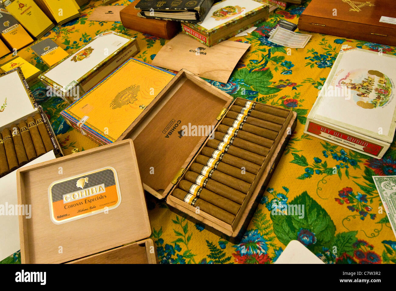 cuban fine cigars Stock Photo