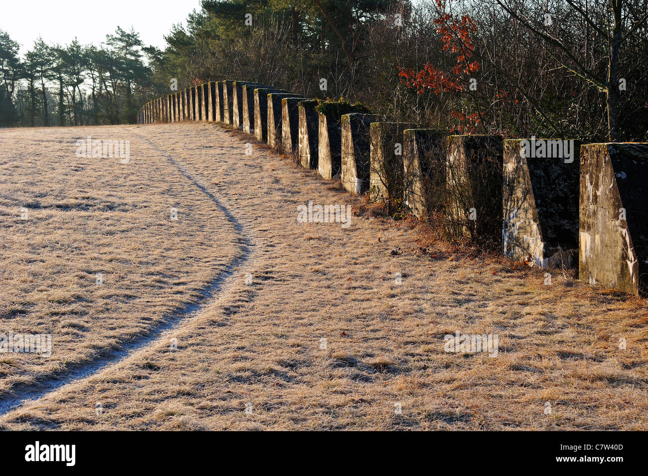 Invasion defences from the 2nd World War, Switzerland. Along a defensive line the Swiss call the 'Toblerones' Stock Photo