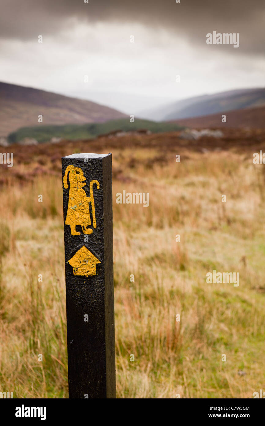 Ireland, Co Wicklow, Wicklow Gap, St Kevin’s Way, old pilgrim’s path signpost Stock Photo