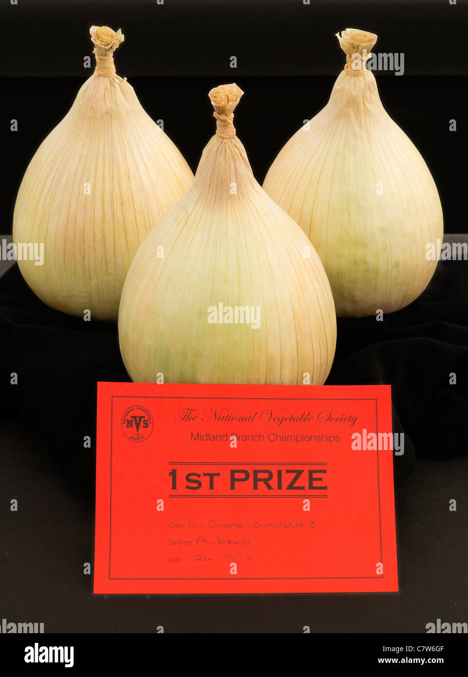 Malvern Autumn Show, England- first prize in the onions category Stock Photo