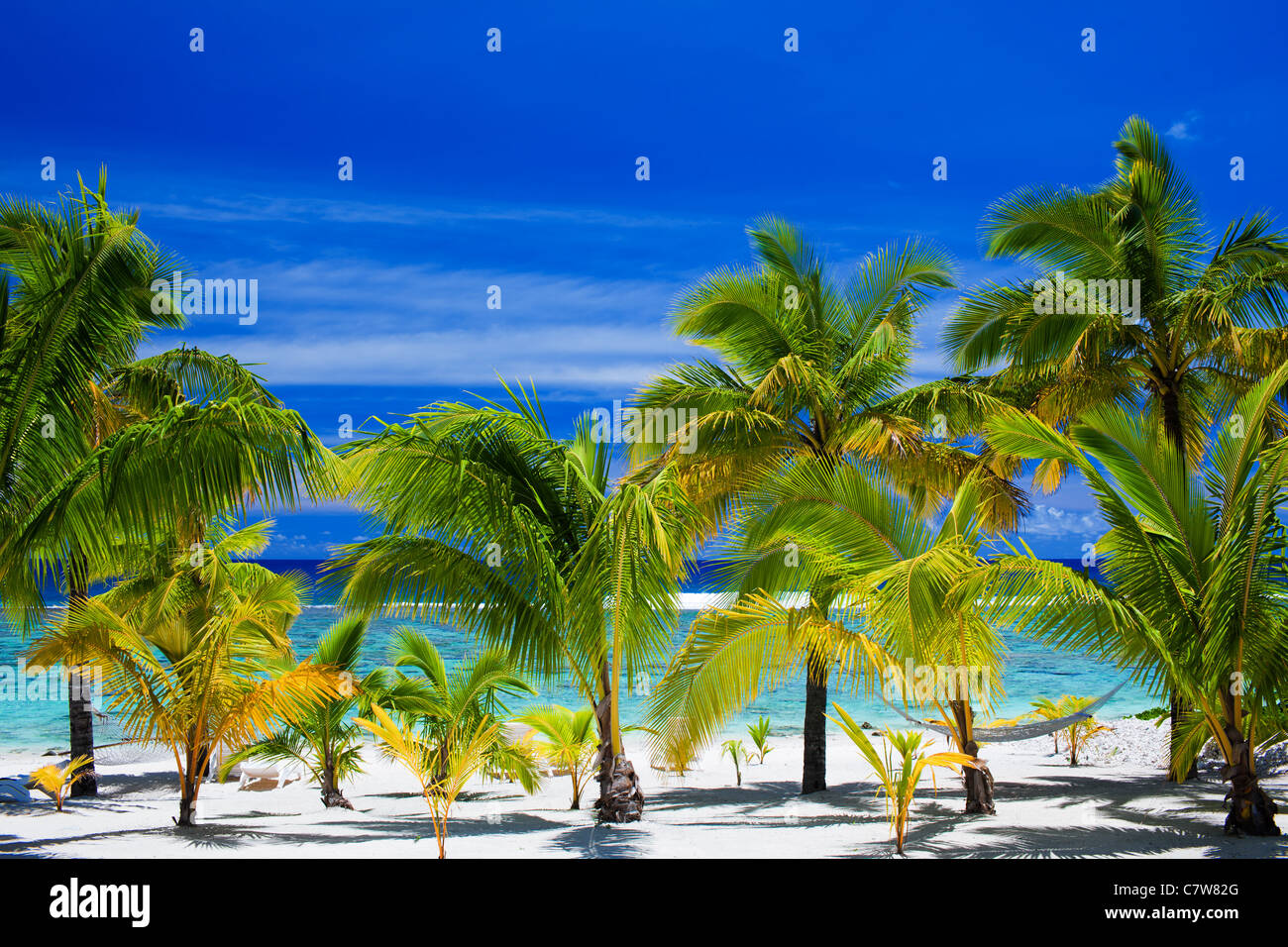 Summer Ocean Beach Landscape Palm Hi res Stock Photography And Images summer-ocean-beach-landscape-palm-hi-res-stock-photography-and-images