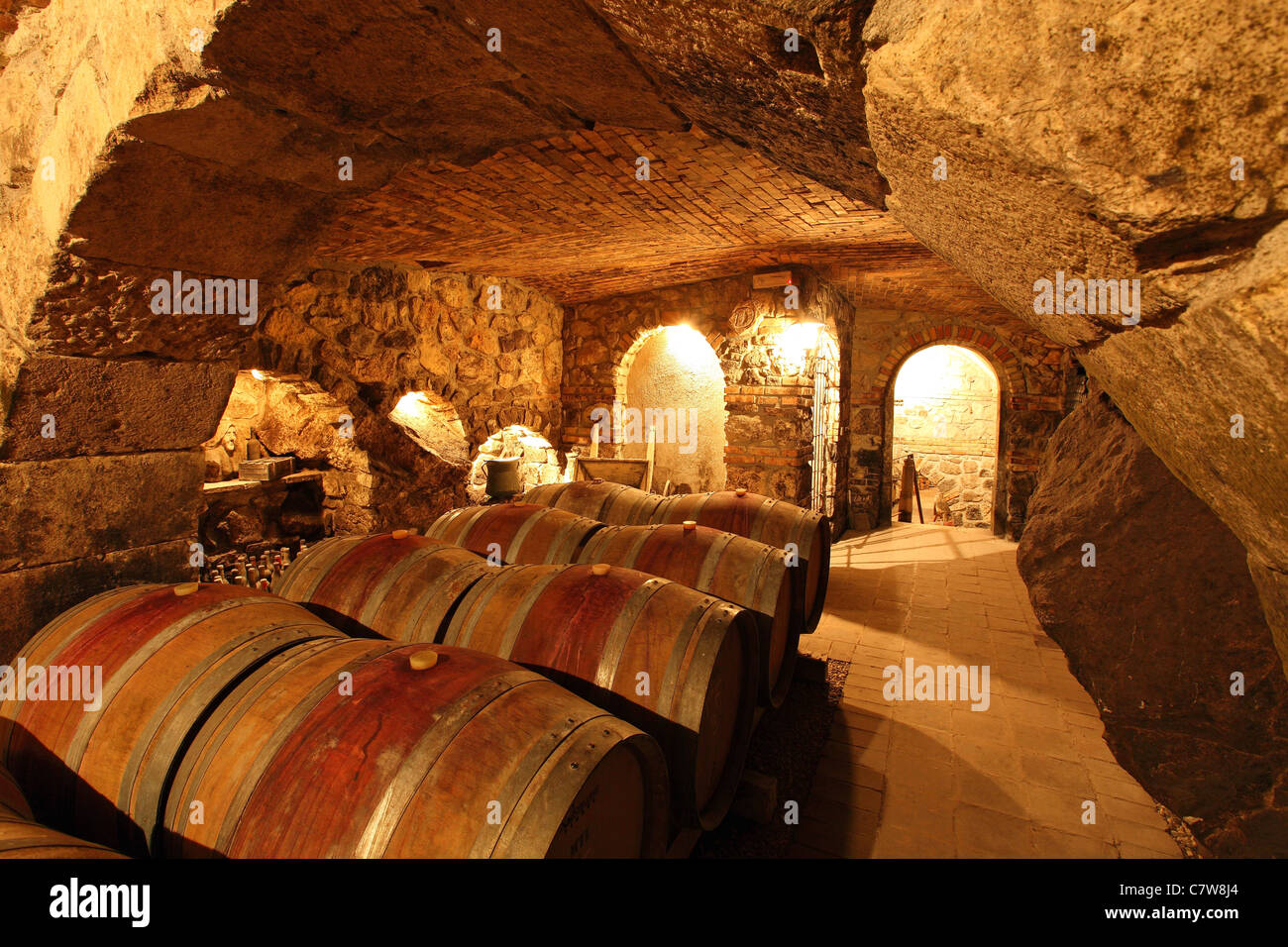 Italy, Campania, Taurasi, Aglianico of Taurasi, the cellar Stock Photo