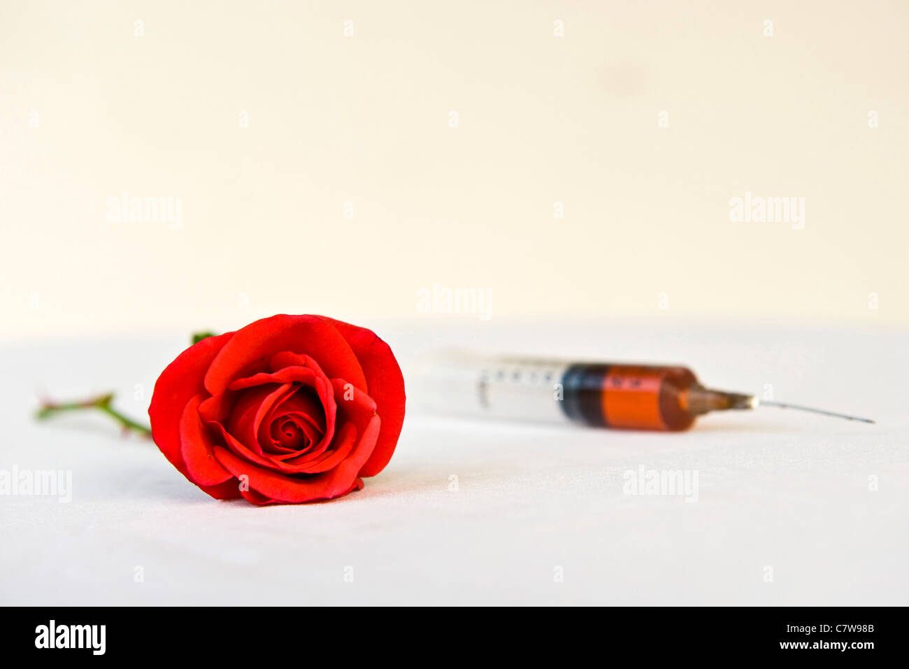 Still life of a syringe and red rose Stock Photo