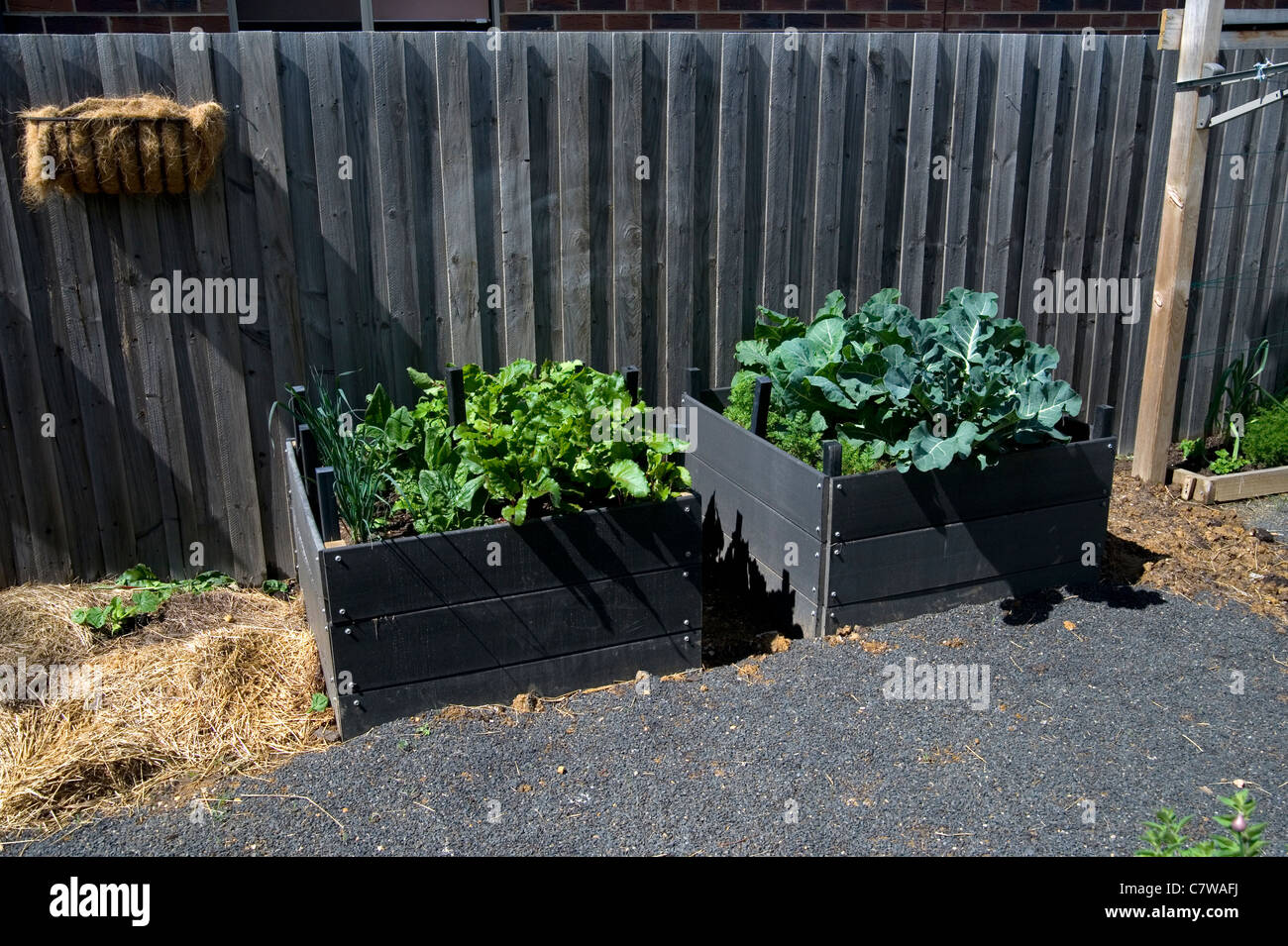 raised garden beds Stock Photo Alamy
