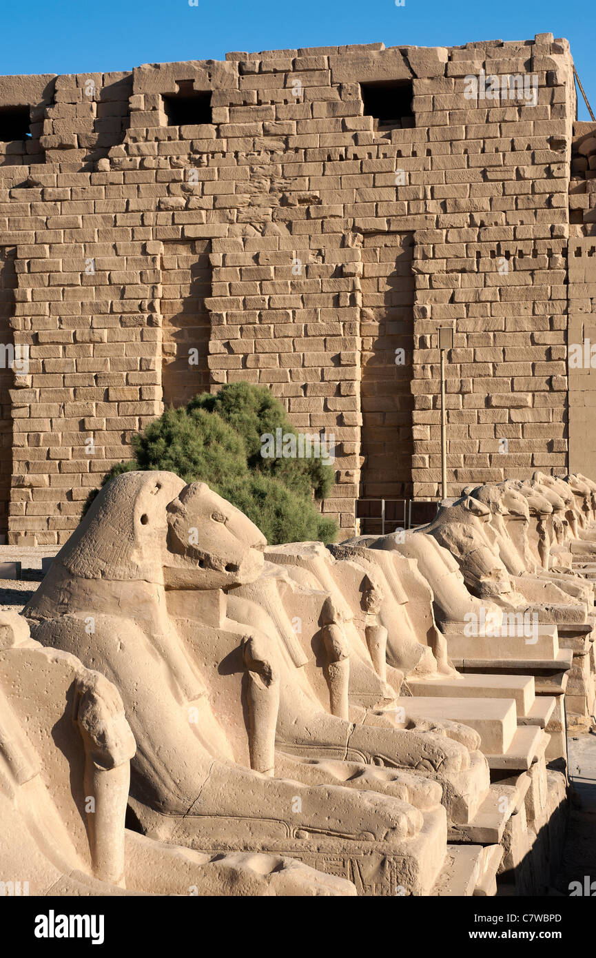 Avenue of Ram-headed Sphinxes, Karnak Temple, Luxor, Egypt Stock Photo